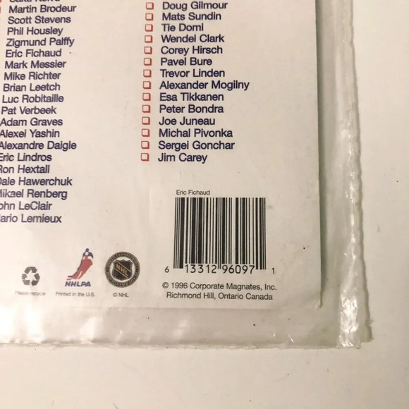 Lot of 4 Collectable Hockey Magnets Mario Lemiuex Alex Mogilny Eric Fichaud - Picture 15 of 16